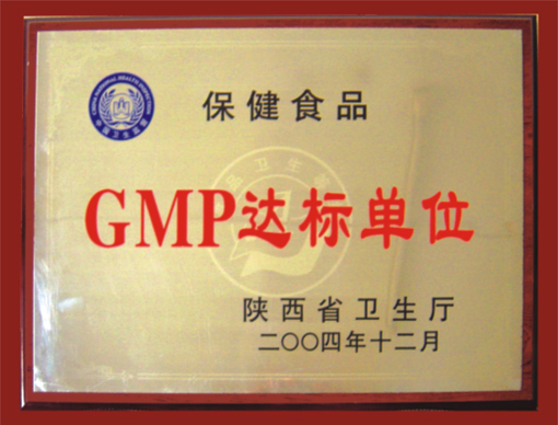 GMP굥λ